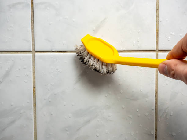 Best Insurance-Related Mold Remediation in Oxford, PA